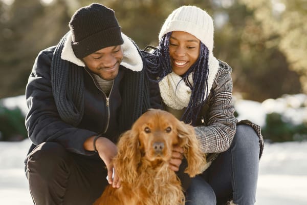 UpLifting Wellness: Winter, Heart Care, State of Mind