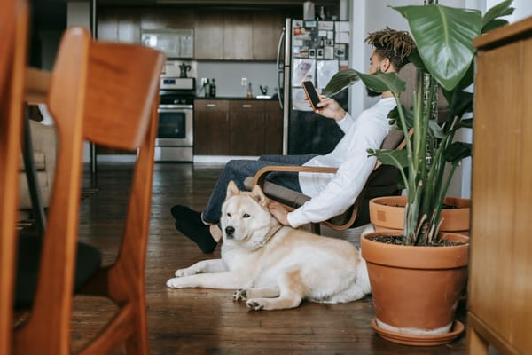 UpLifting Wellness: July 2025